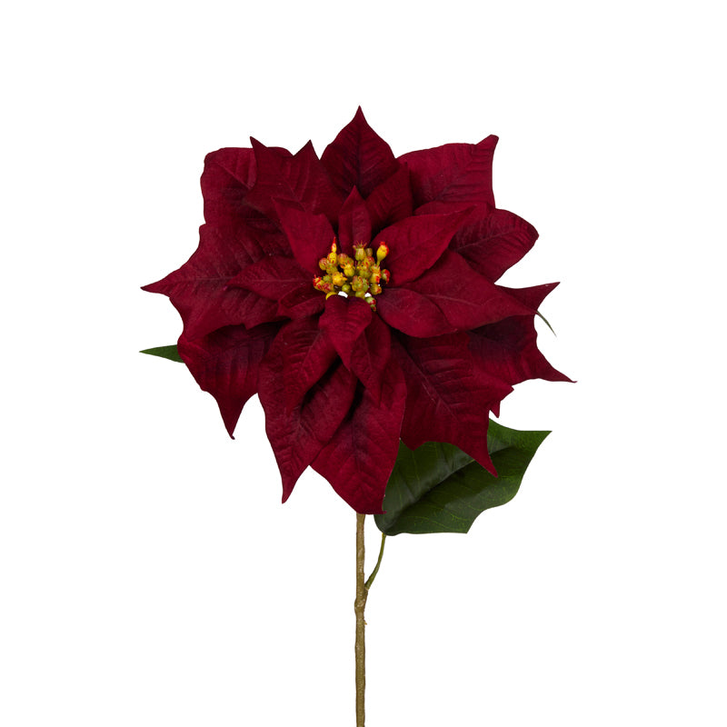 Natural Deep Red Poinsettia Stem