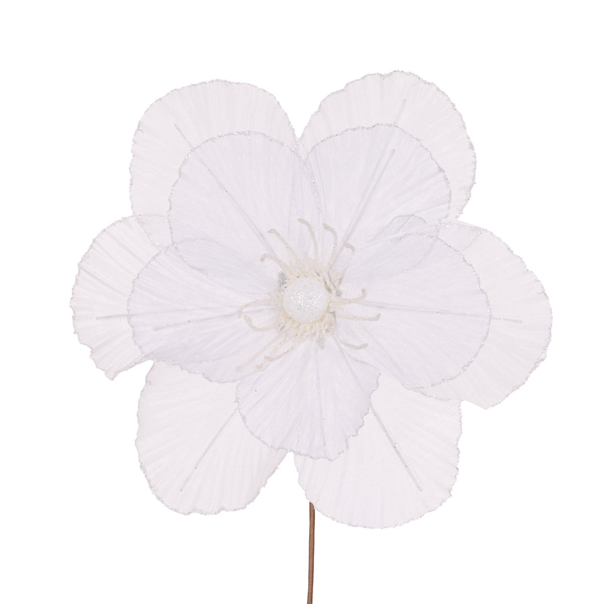Sheer White Camellia