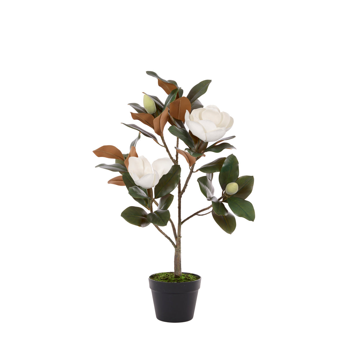 80 CM FAUX MAGNOLIA TREE