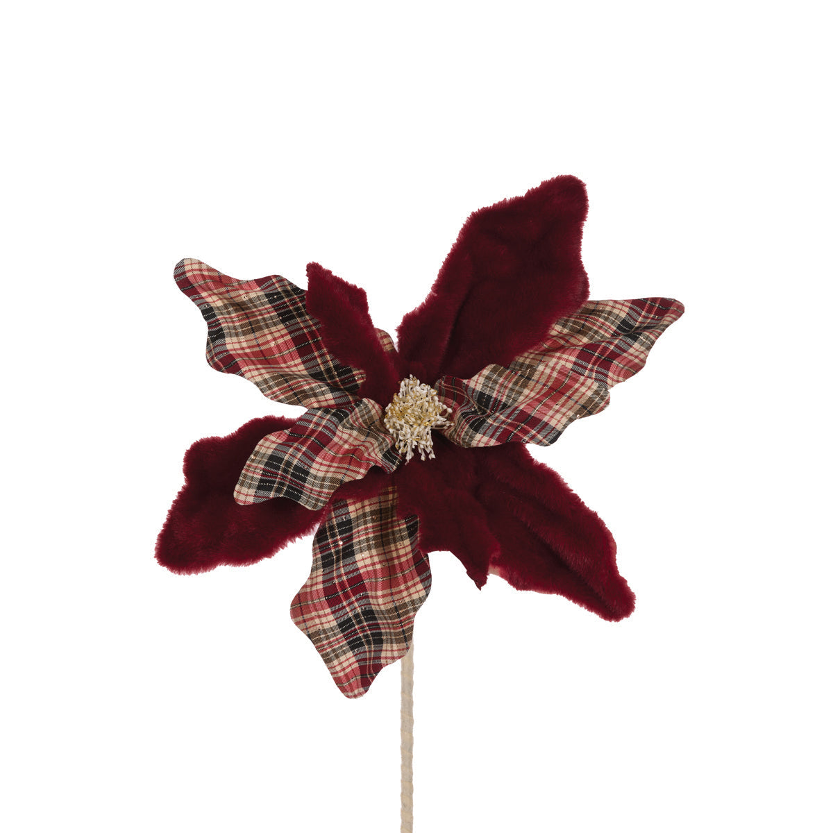 Burgundy Winter Tartan Poinsettia