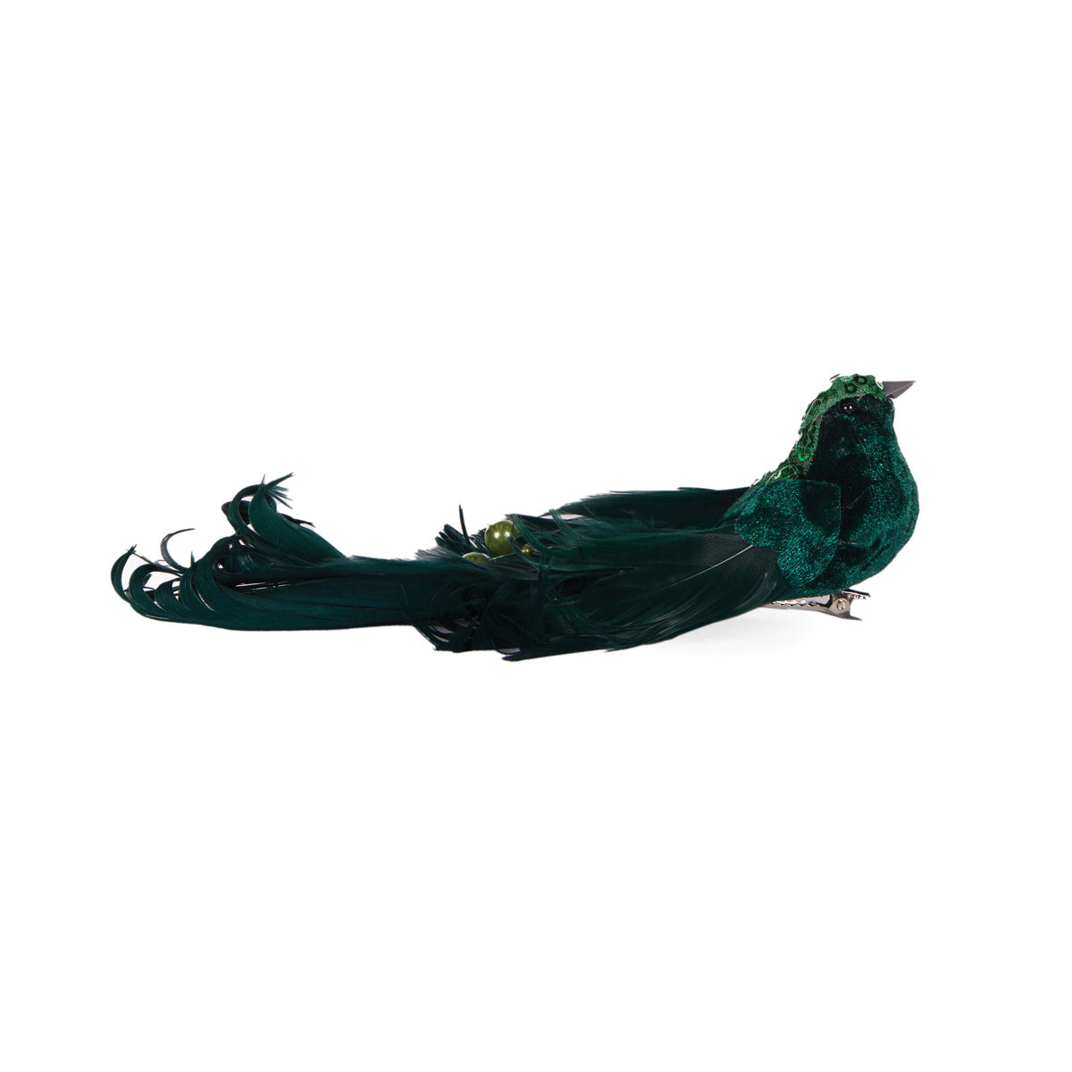 Emerald Adorned Bird