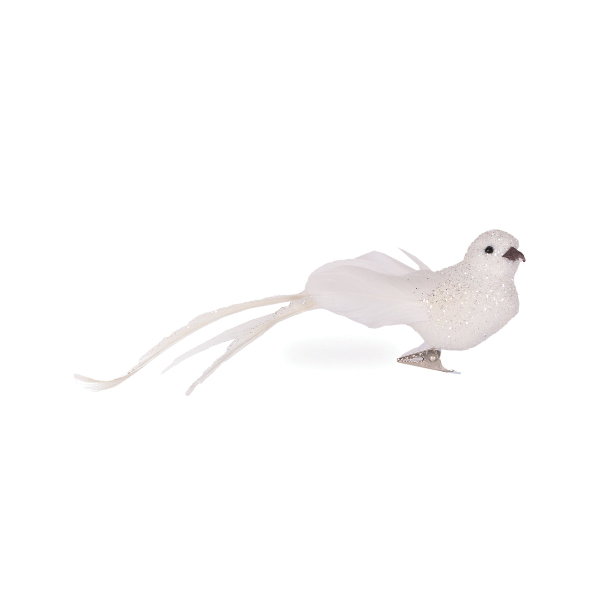 White Long Tailed Feather Bird