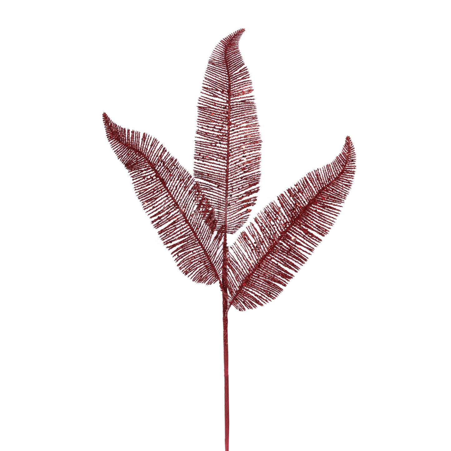 Red Fern Spray