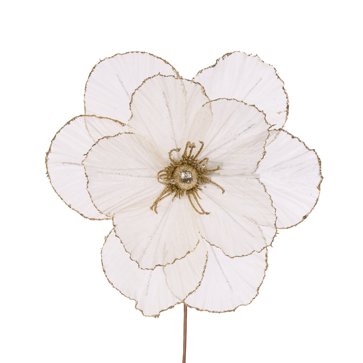 Sheer Ivory Camellia
