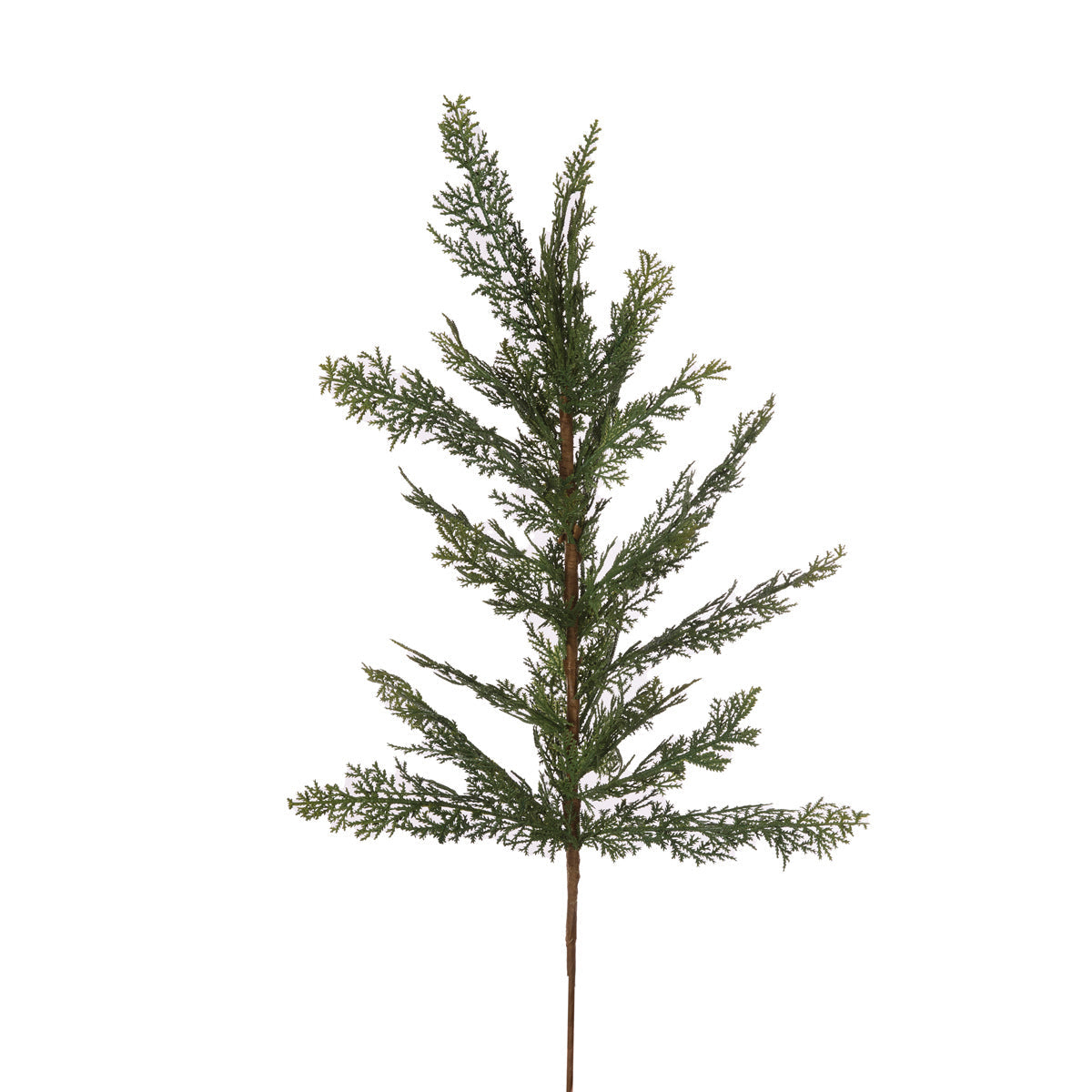 Conifer Pick