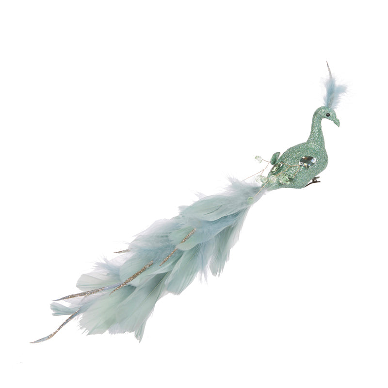 Mint Trumpet Peacock