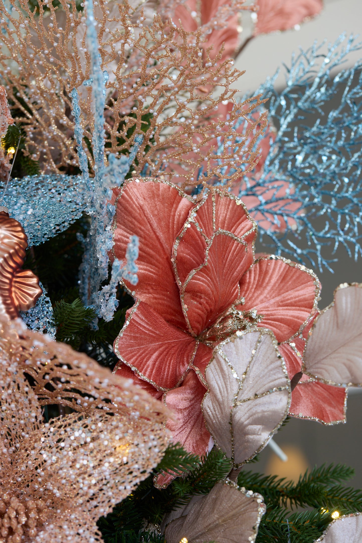 CORAL VELVET MAGNOLIA