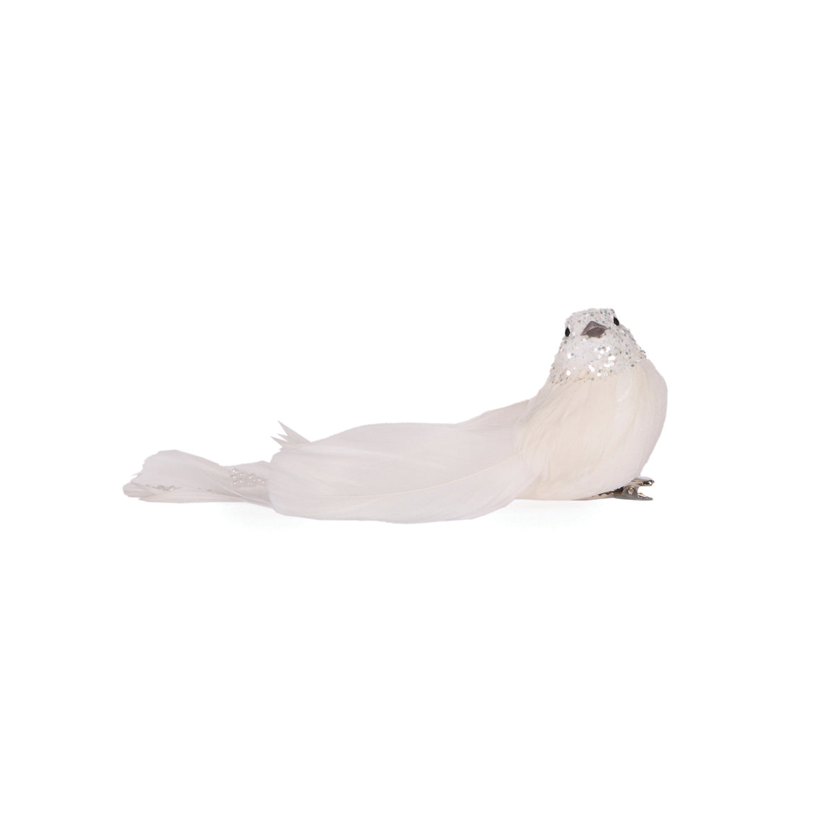 White Bejewelled Bird