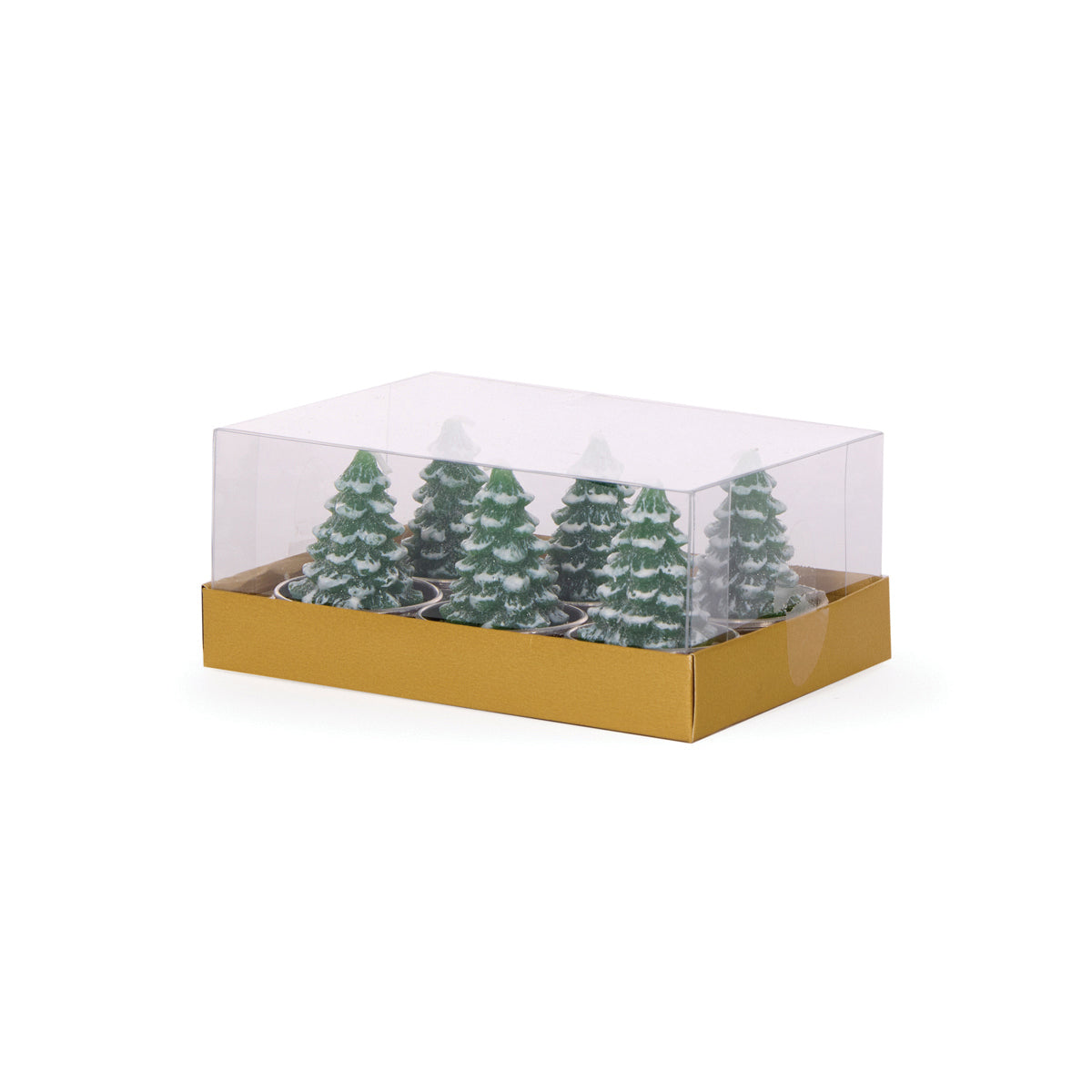 6pk Green Tree T - Lights