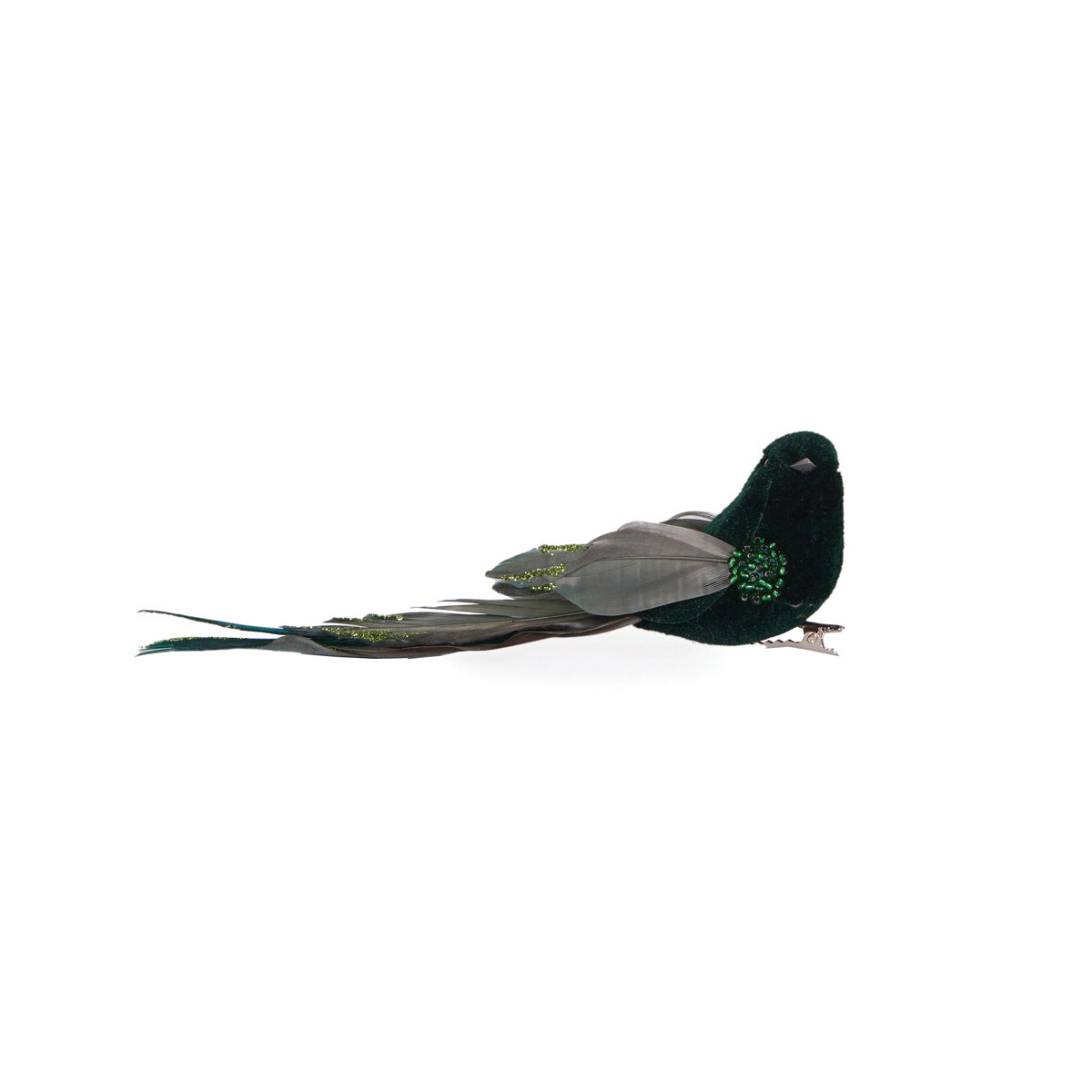 Emerald Long Tailed Feather Bird