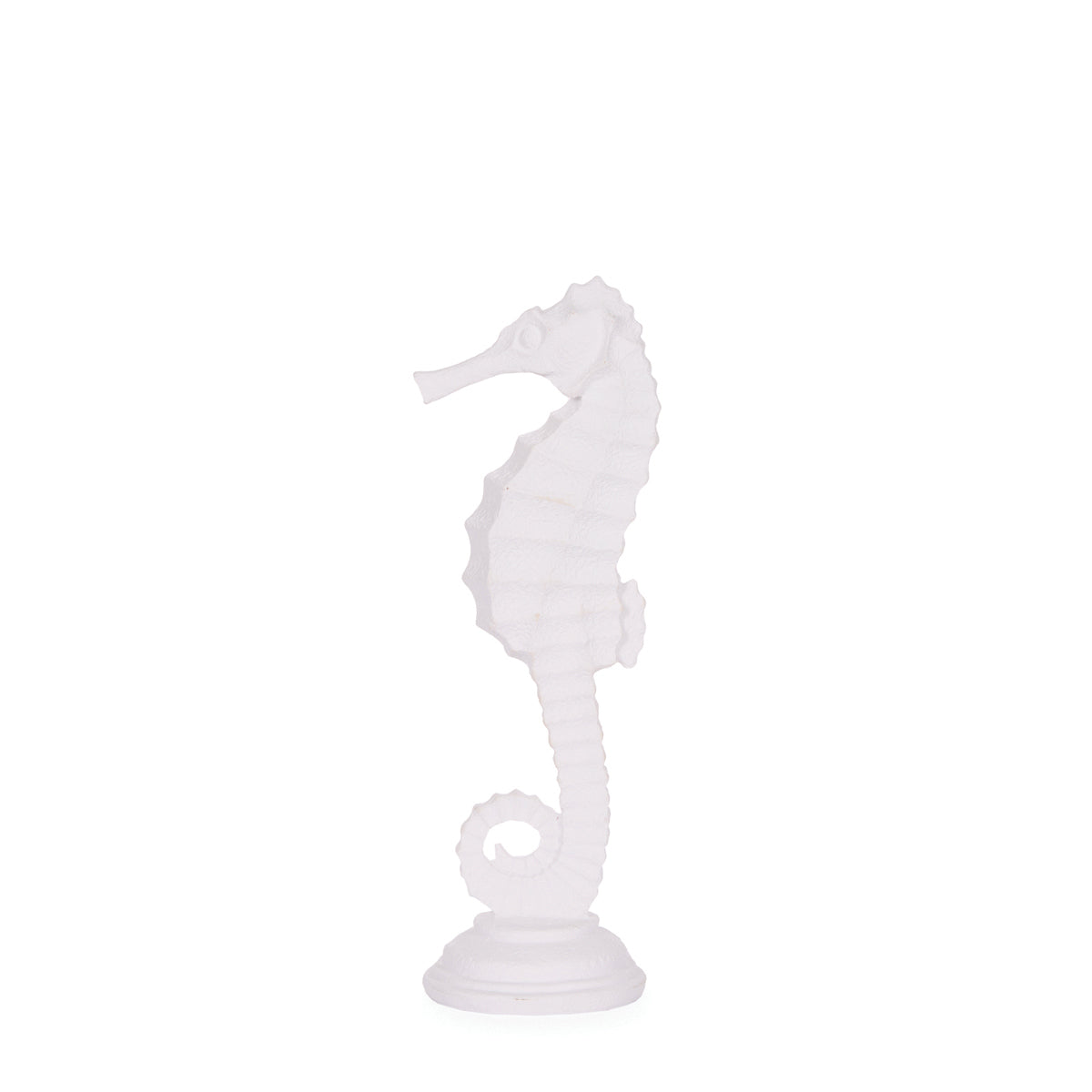 Small White Seahorse