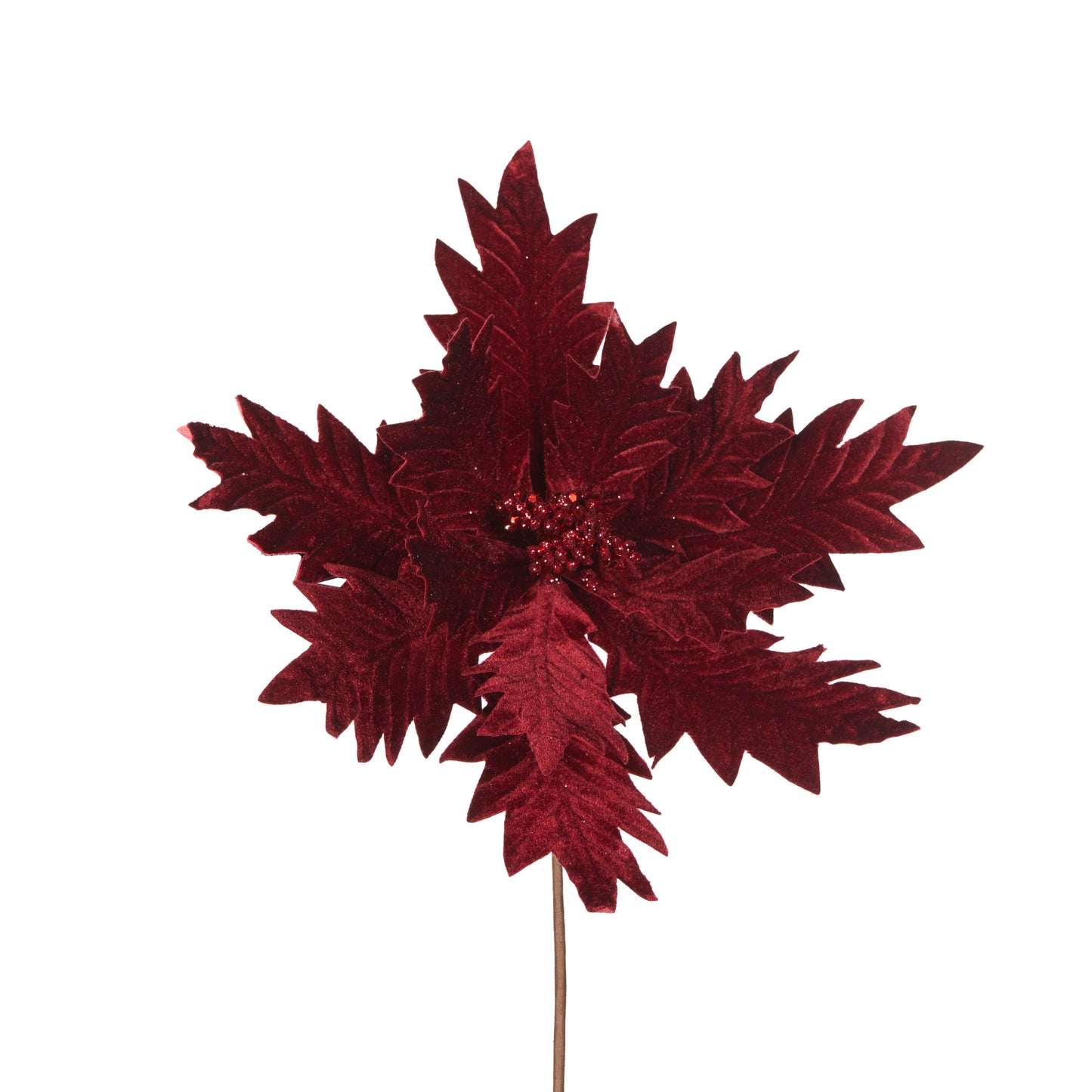 Burgundy Velvet Poinsettia