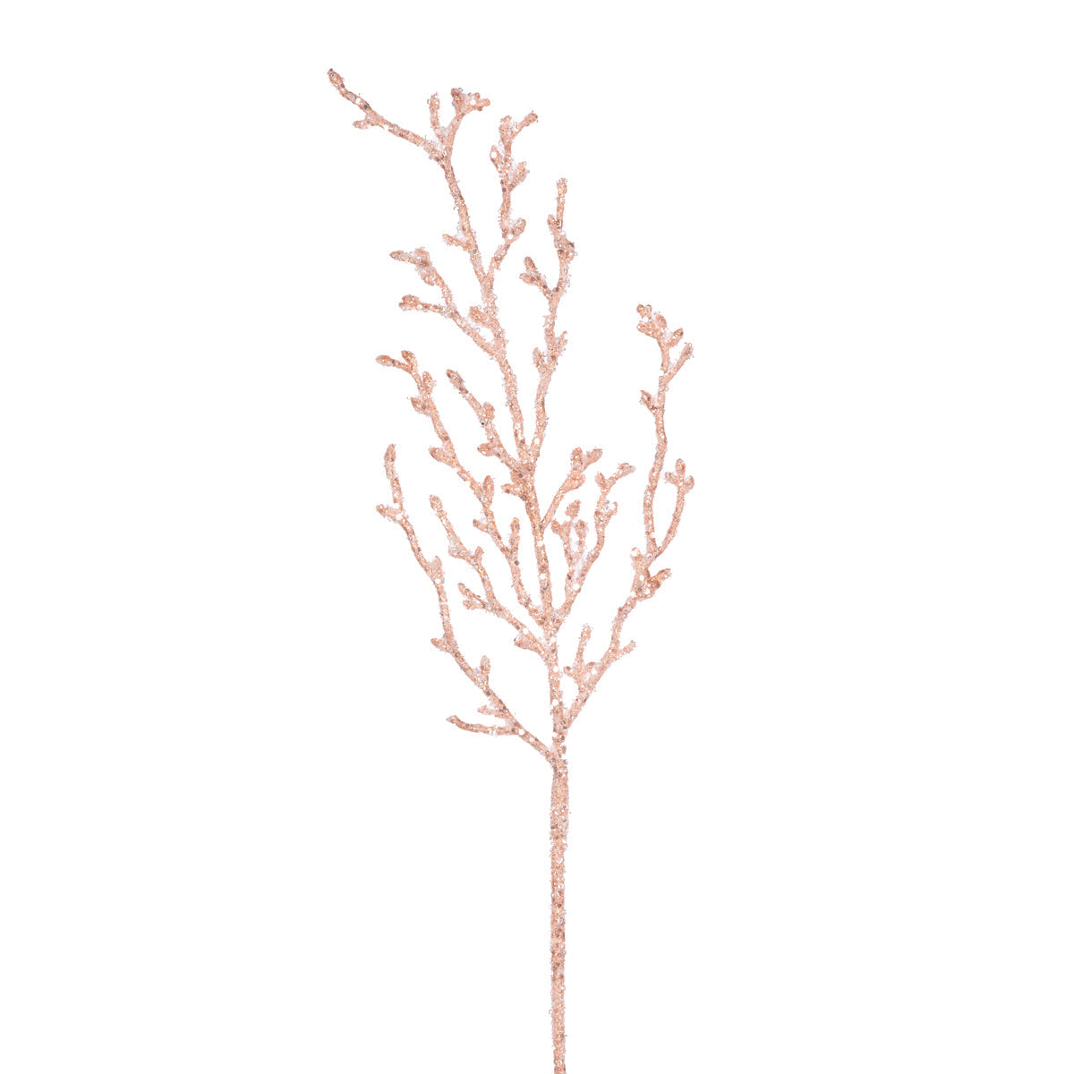 CORAL SPRAY