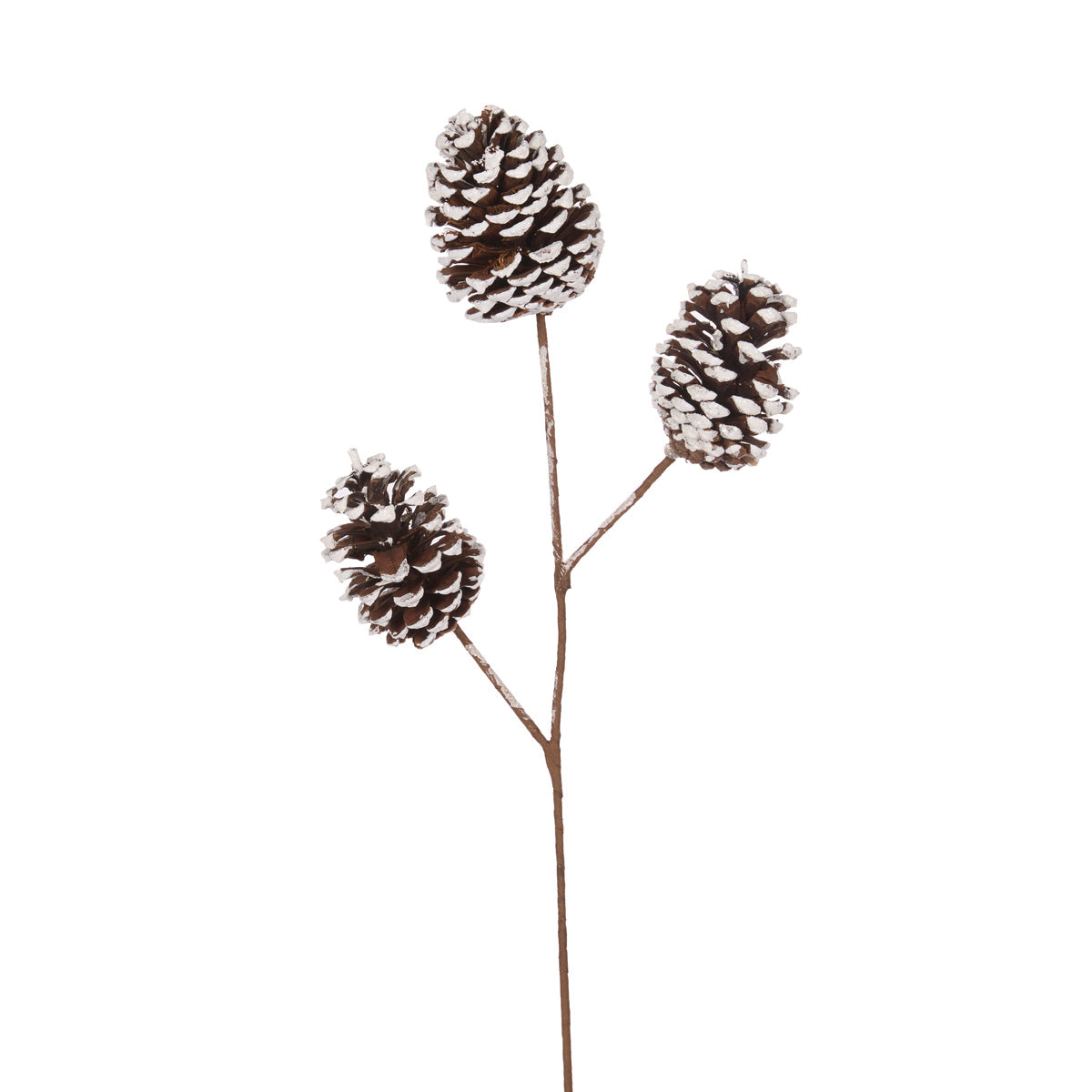 SNOWY PINECONE PICK