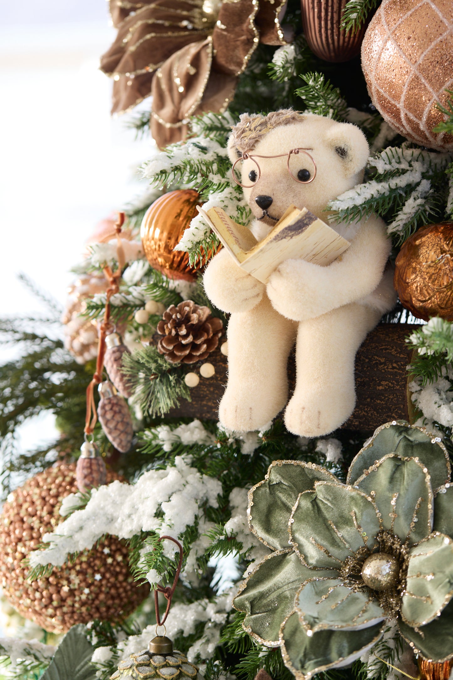 READING NANA TEDDY BEAR