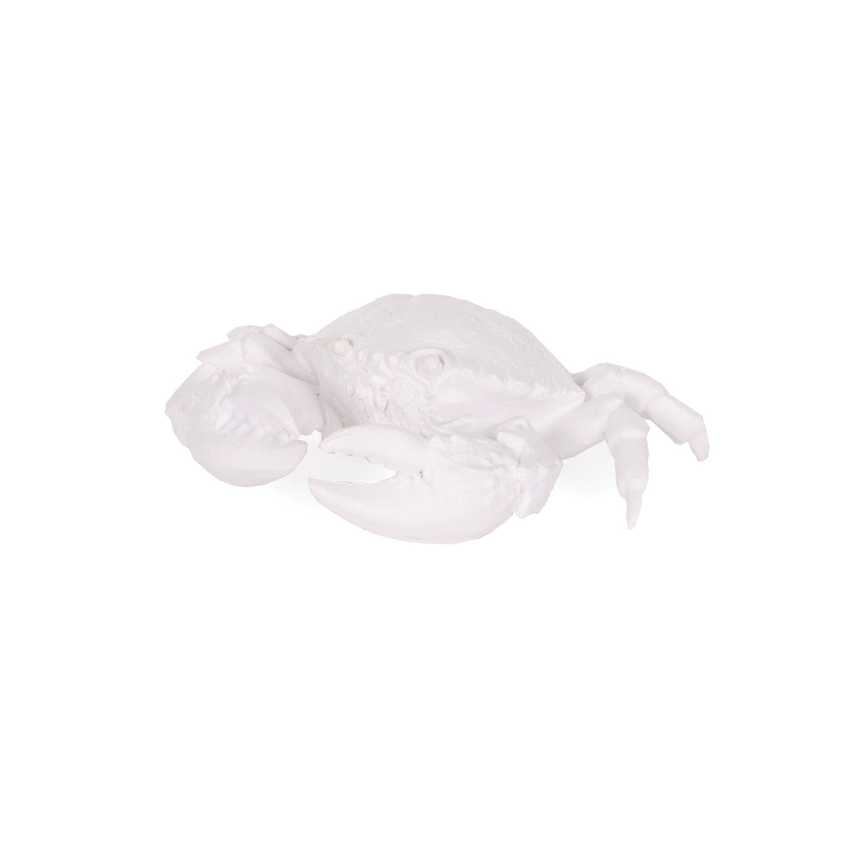 White Small Crab