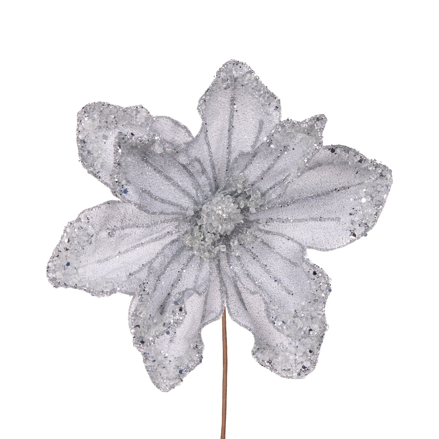 Silver Beaded Magnolia