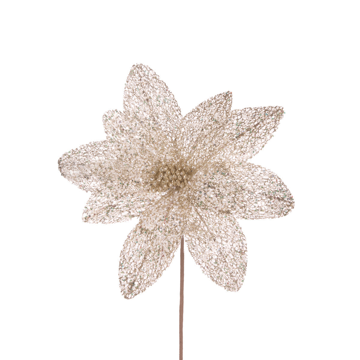 Sheer Champagne Glittered Poinsettia