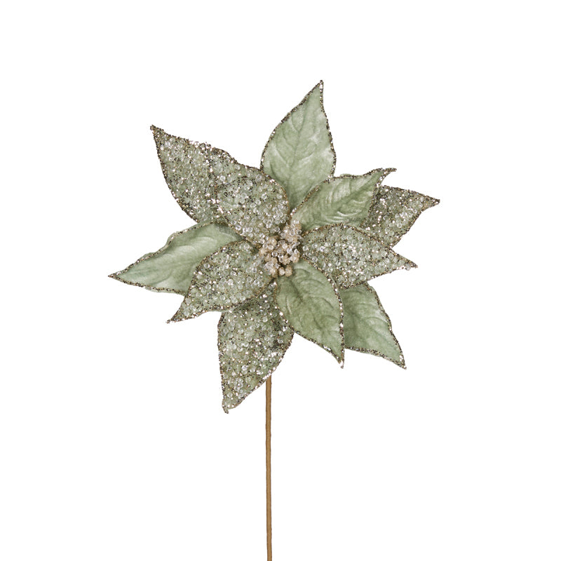 Mint Frosted Poinsettia