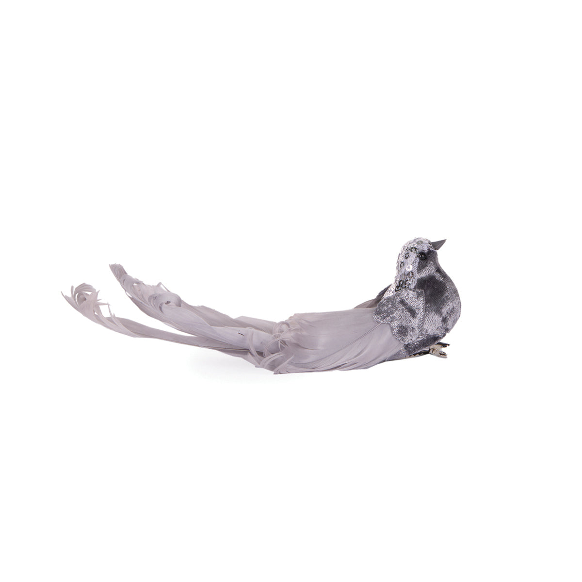 Silver Adorned Bird