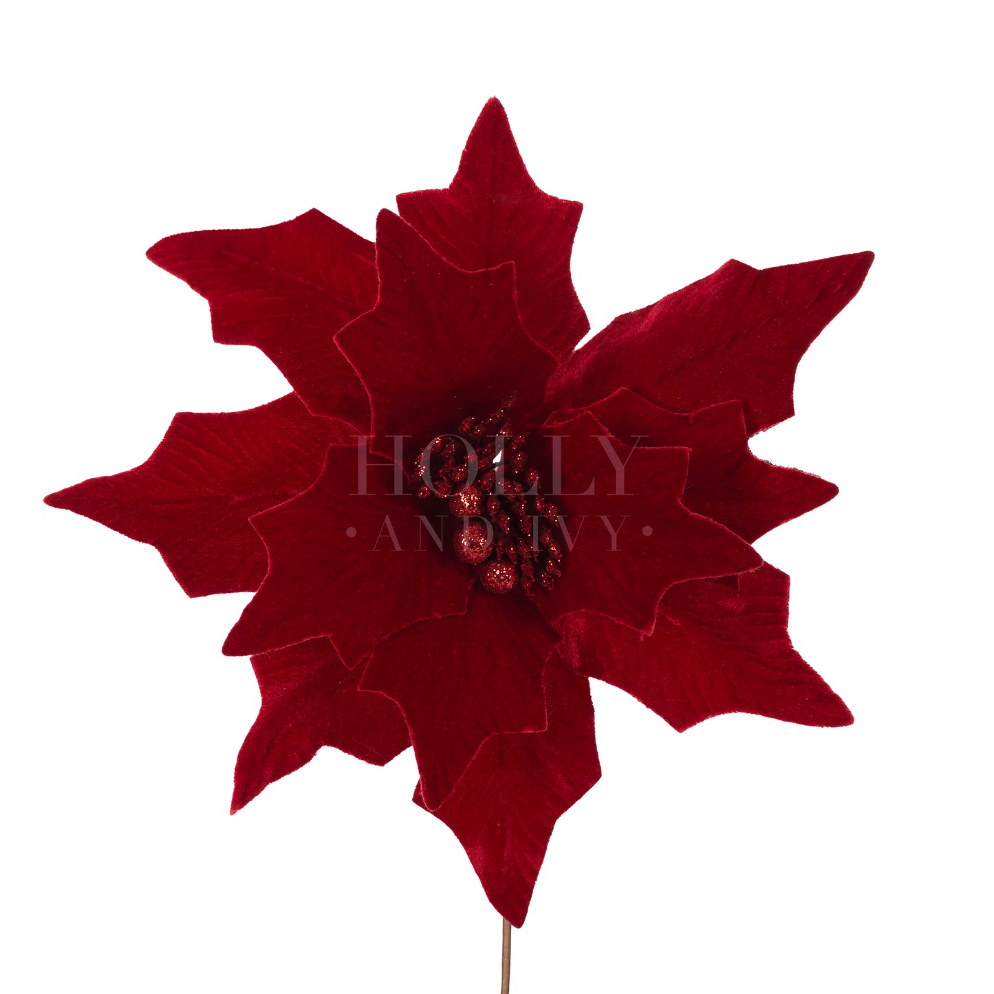 Burgundy Velour Poinsettia