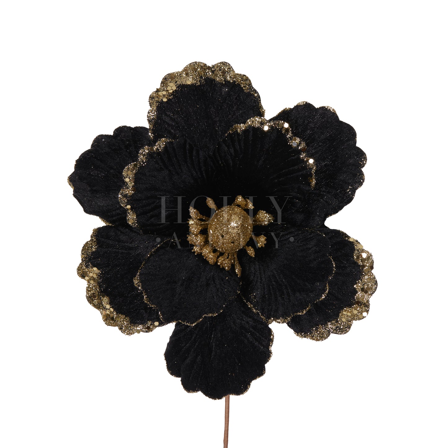Black & Gold Velvet Poppy