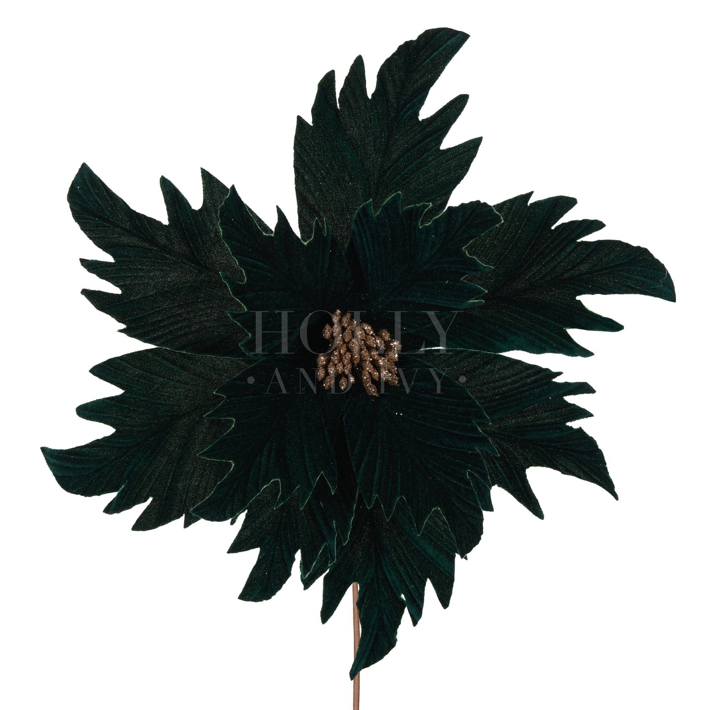 Emerald Velvet Poinsettia