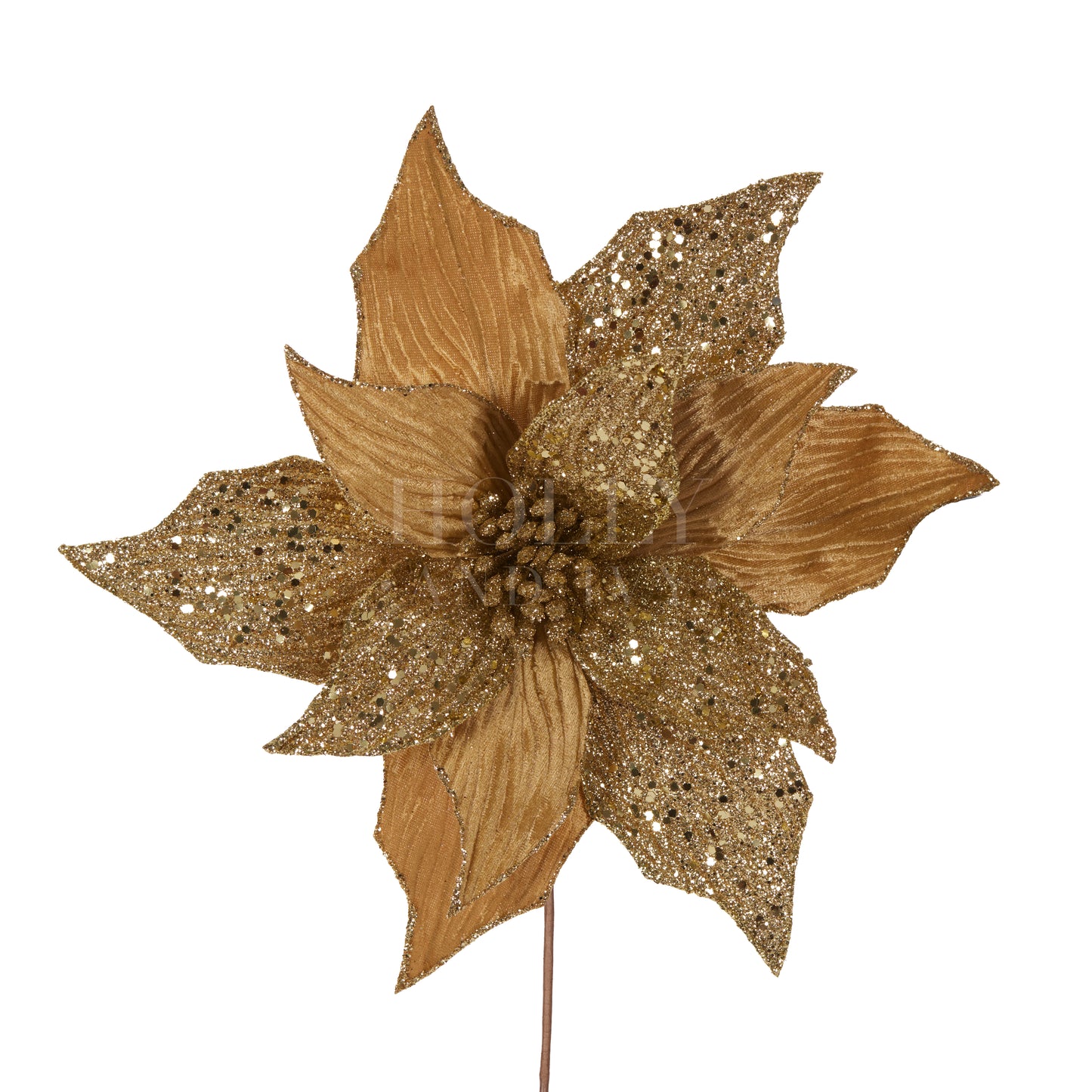 Gold Embossed Poinsettia
