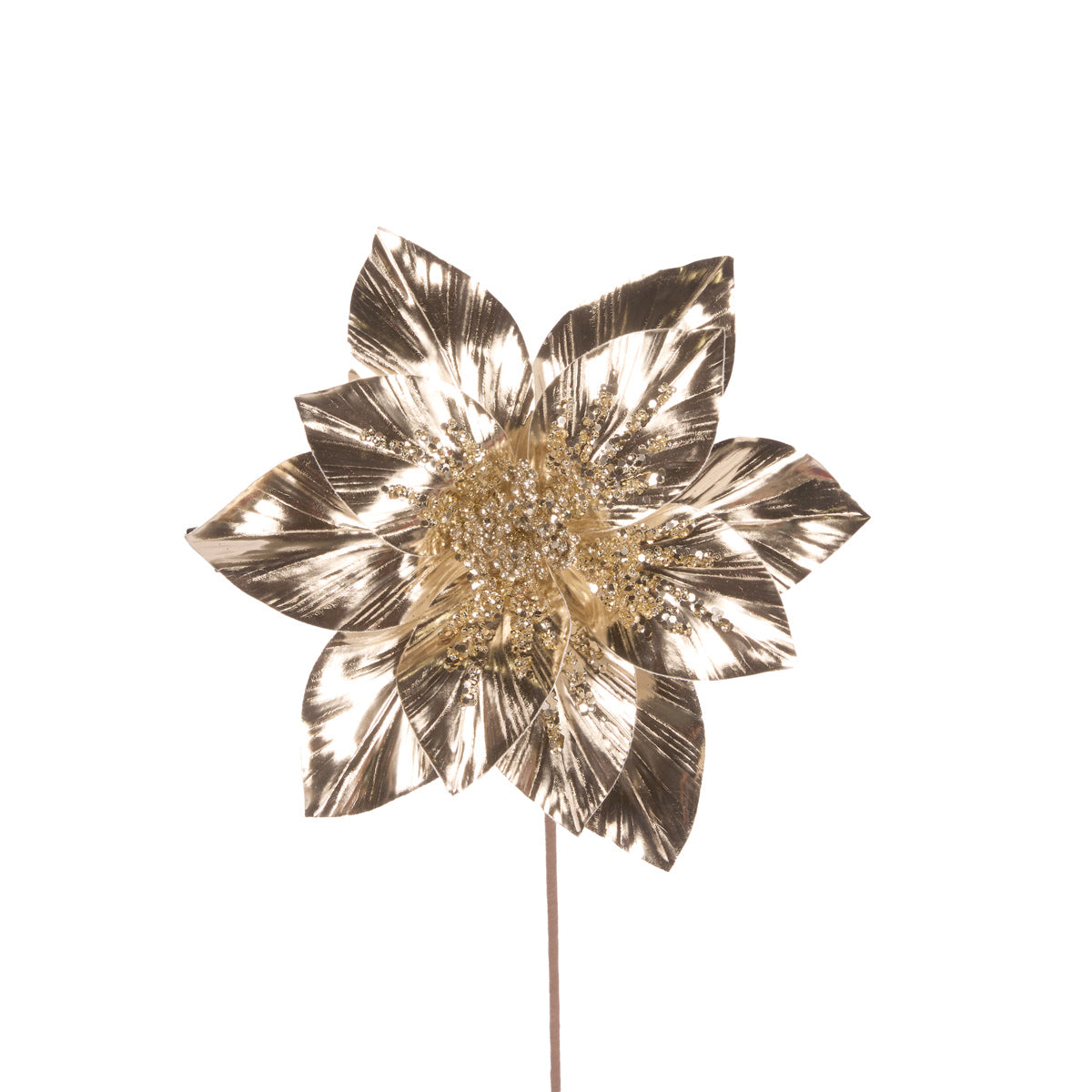 HIGH SHINE BEADED CHAMPAGNE POINSETTIA