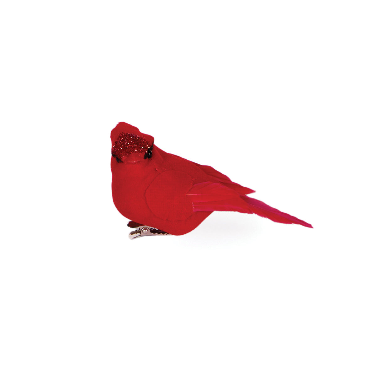 6PK RED CANARY BIRDS