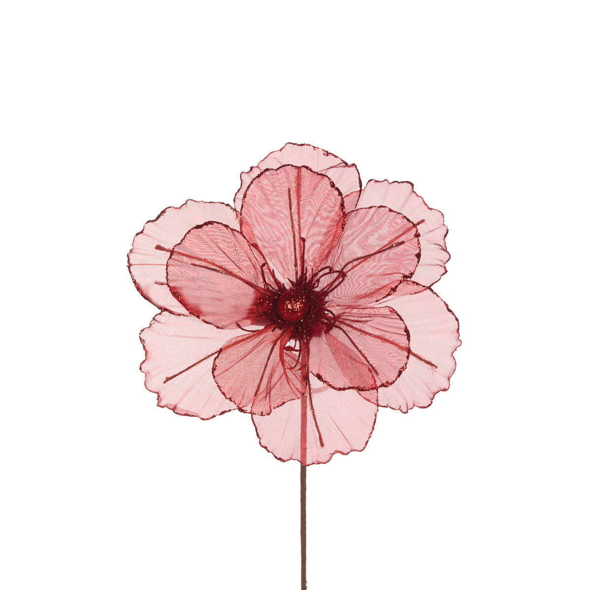Sheer Red Camellia