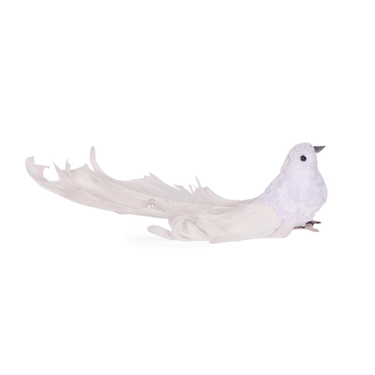 White Adorned Bird