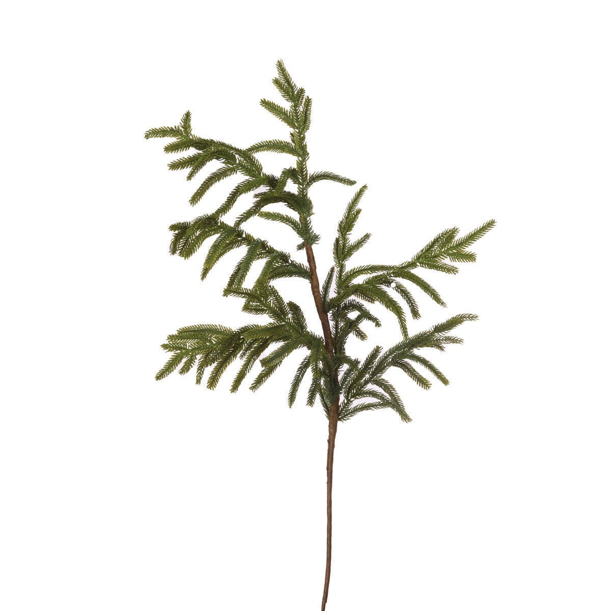 Evergreen Spruce Pick