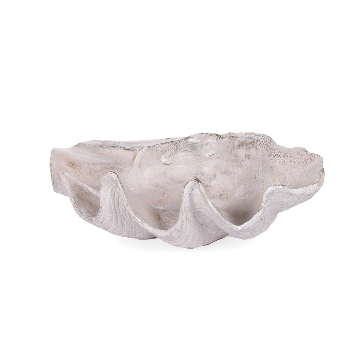 63.5cm Clam Shell