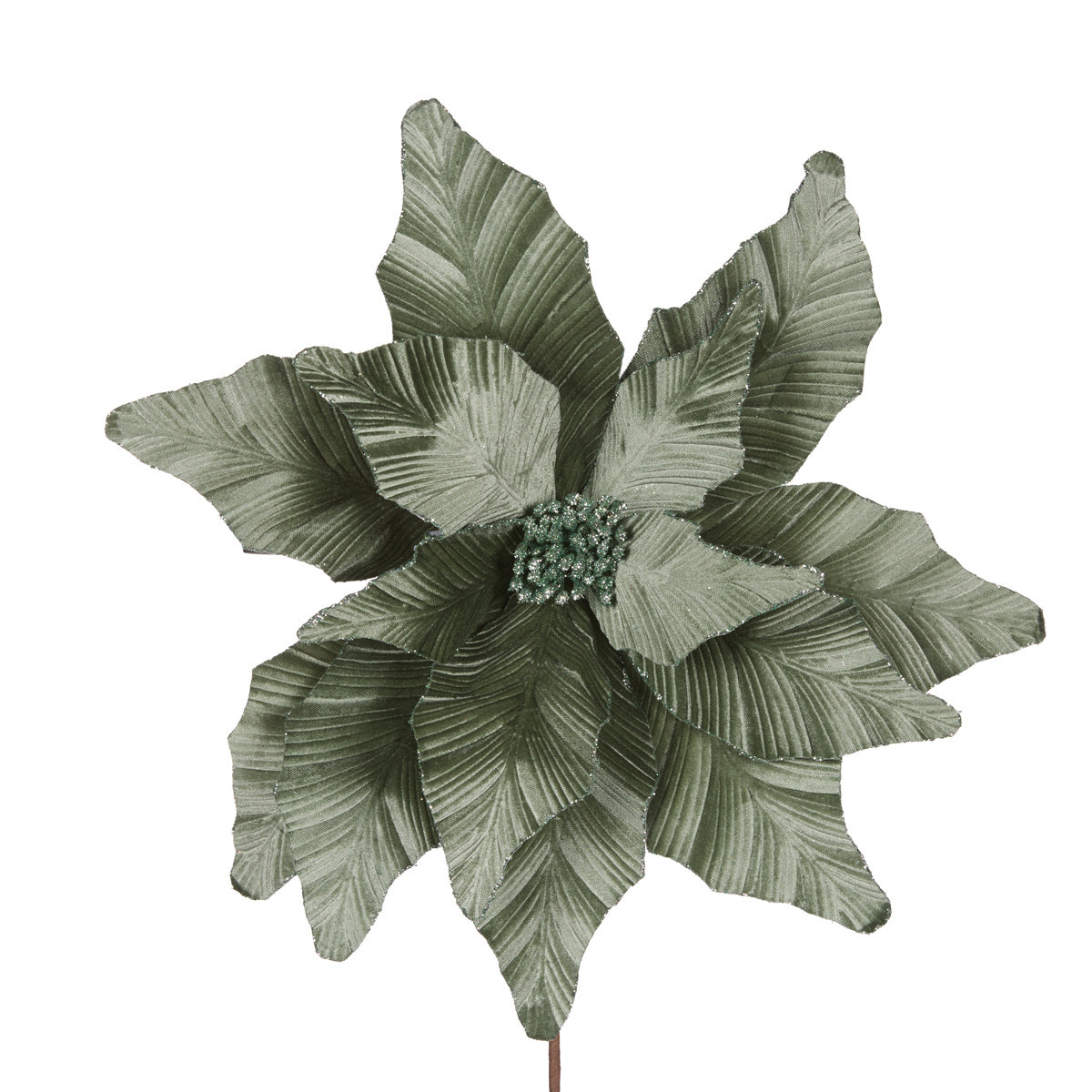 Luxe Sage Poinsettia