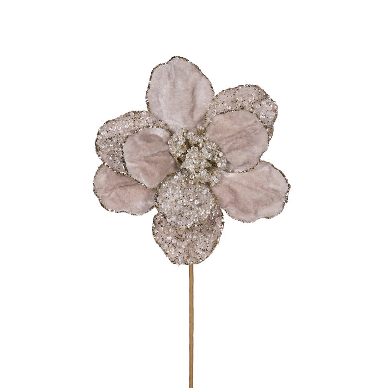 Platinum Crystals Magnolia