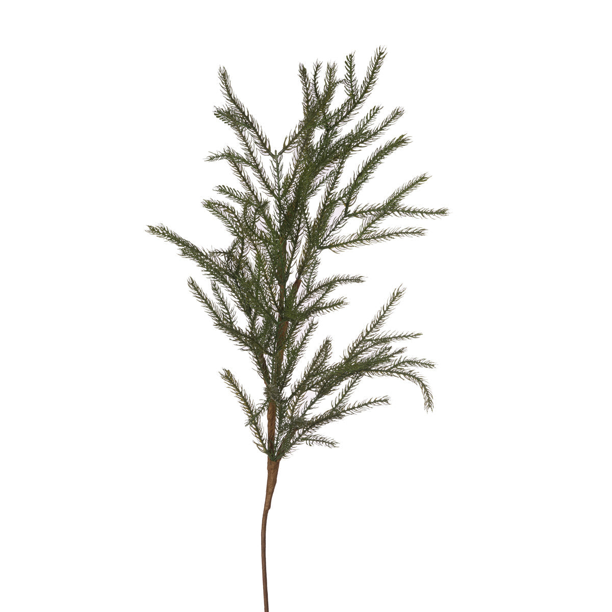 Norwegian Spruce Pick