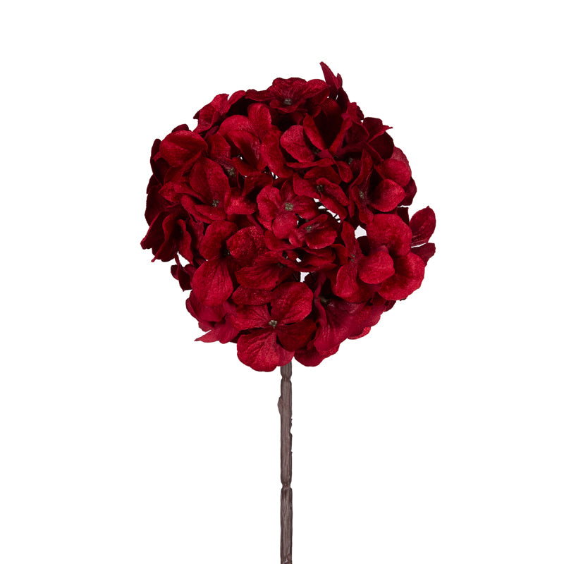 Red Hydrangea Stem