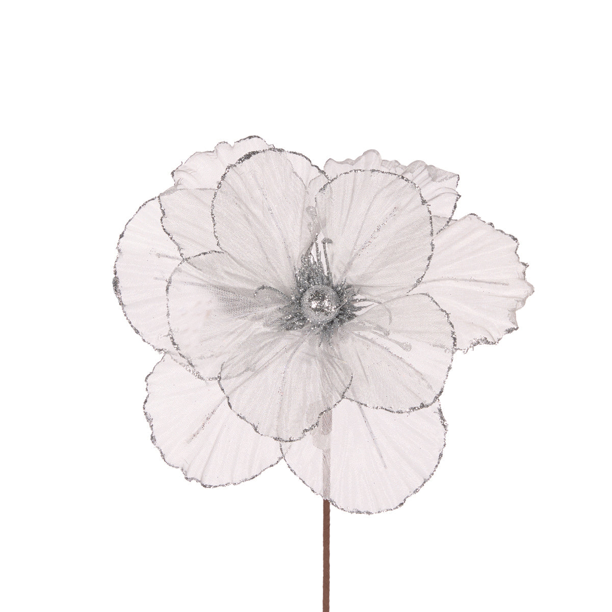 Sheer Silver Camellia