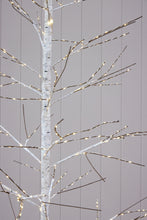 Load image into Gallery viewer, 150 Cm Led Birch Tree
