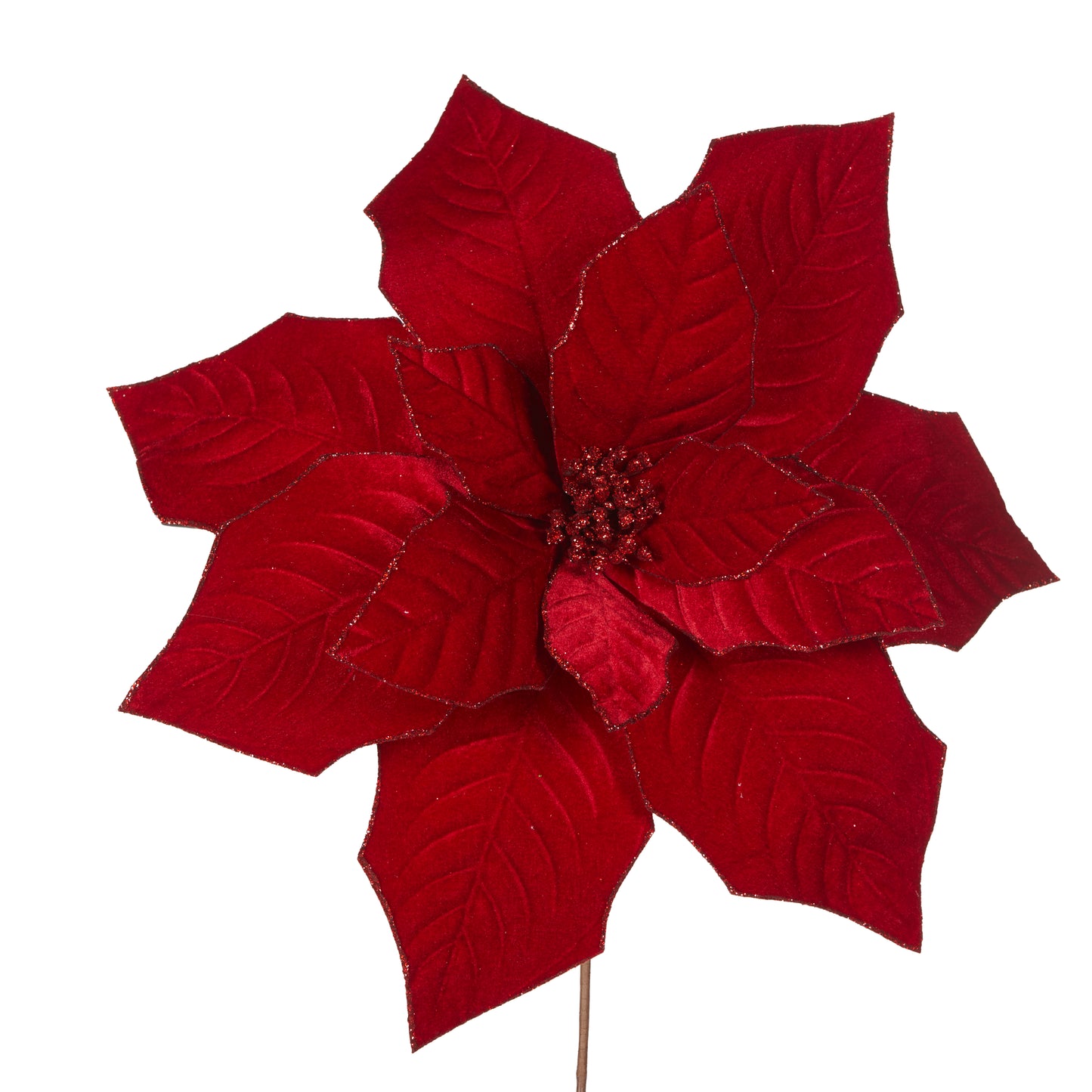 Deep Red Poinsettia