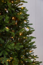 Load image into Gallery viewer, 8 Ft Evergreen Green Tree - 560 Led
