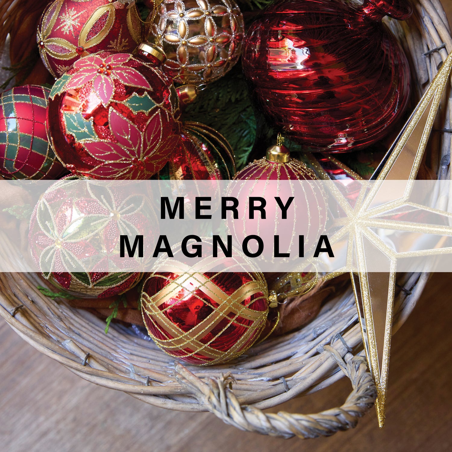 Merry Magnolia