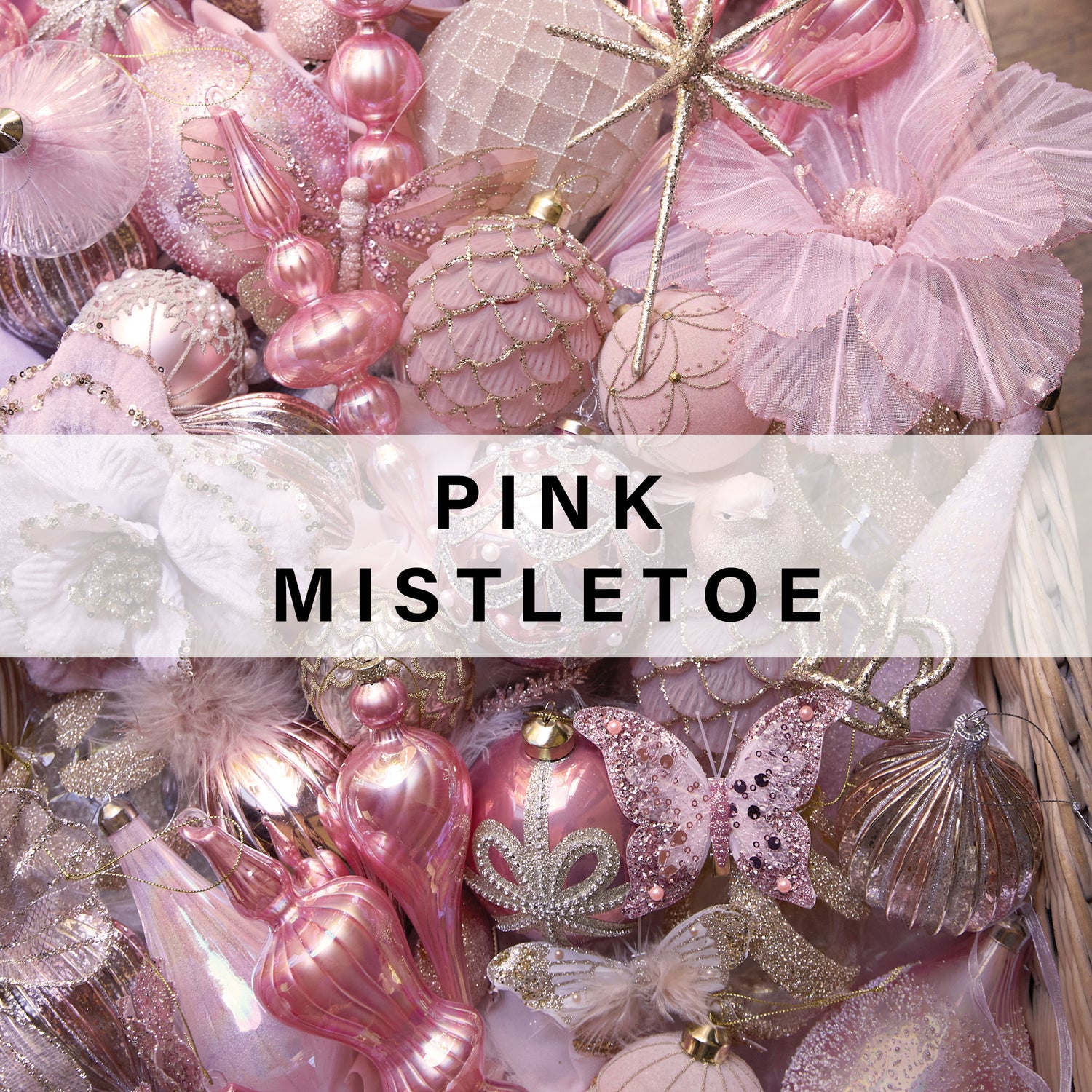 Pink Mistletoe