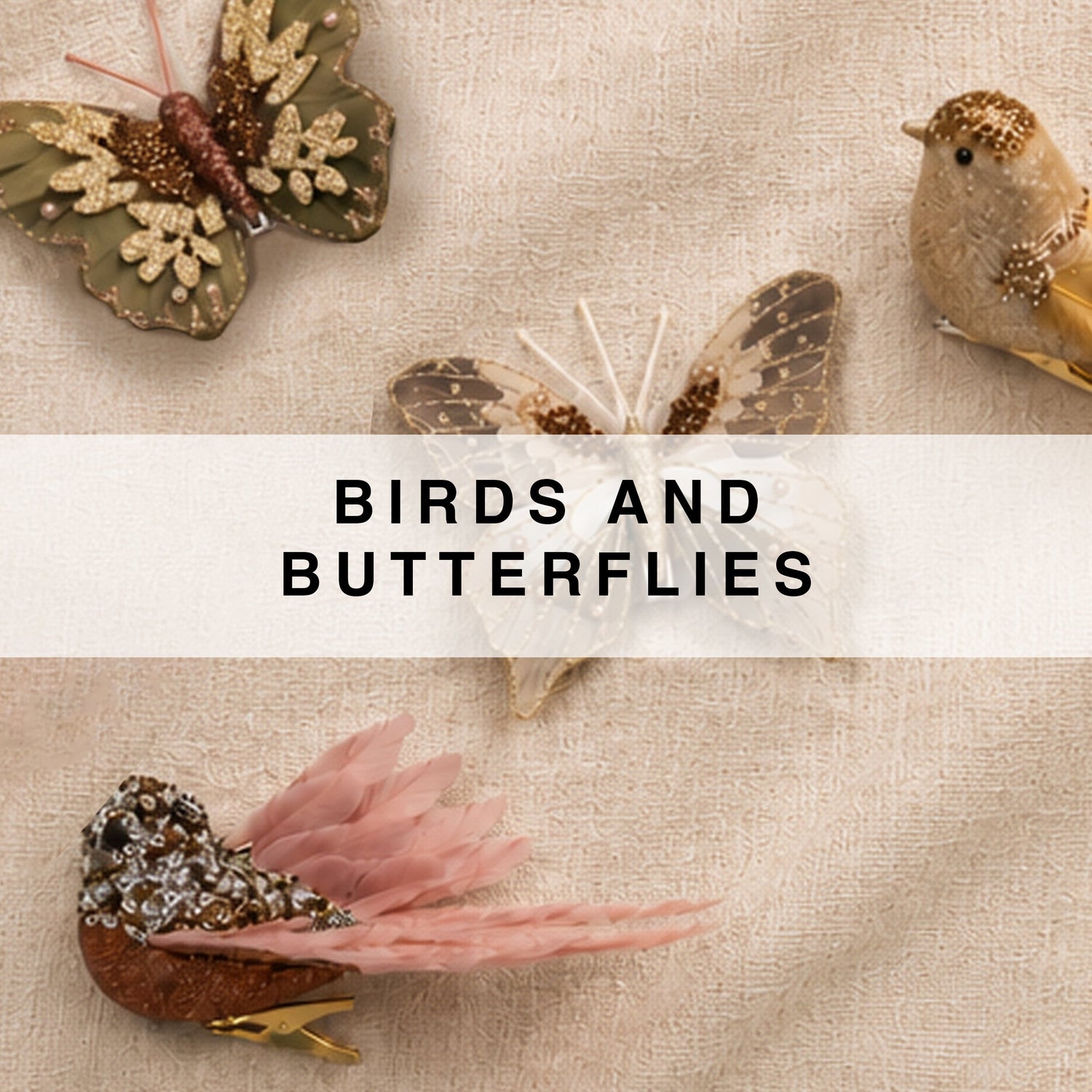 Birds and Butterflies