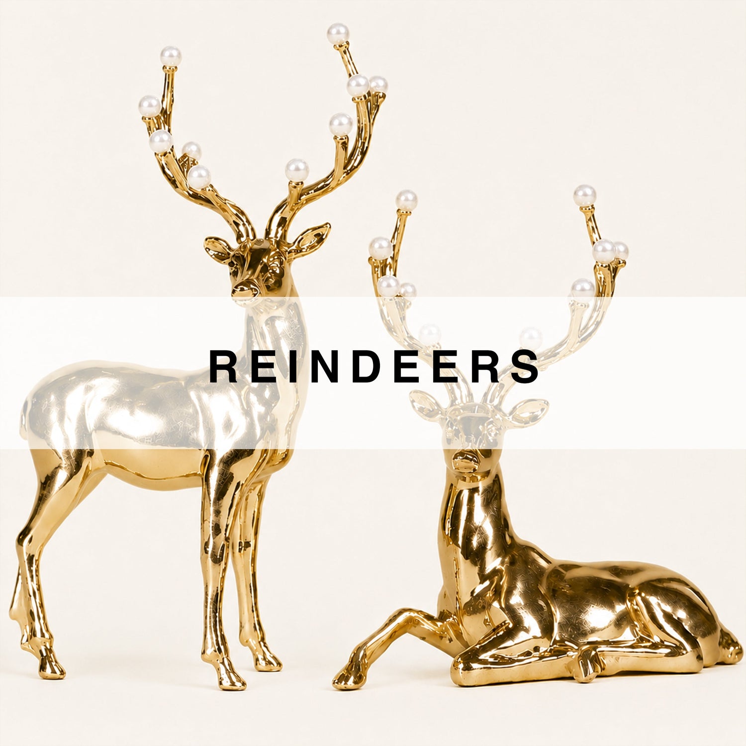 Reindeers