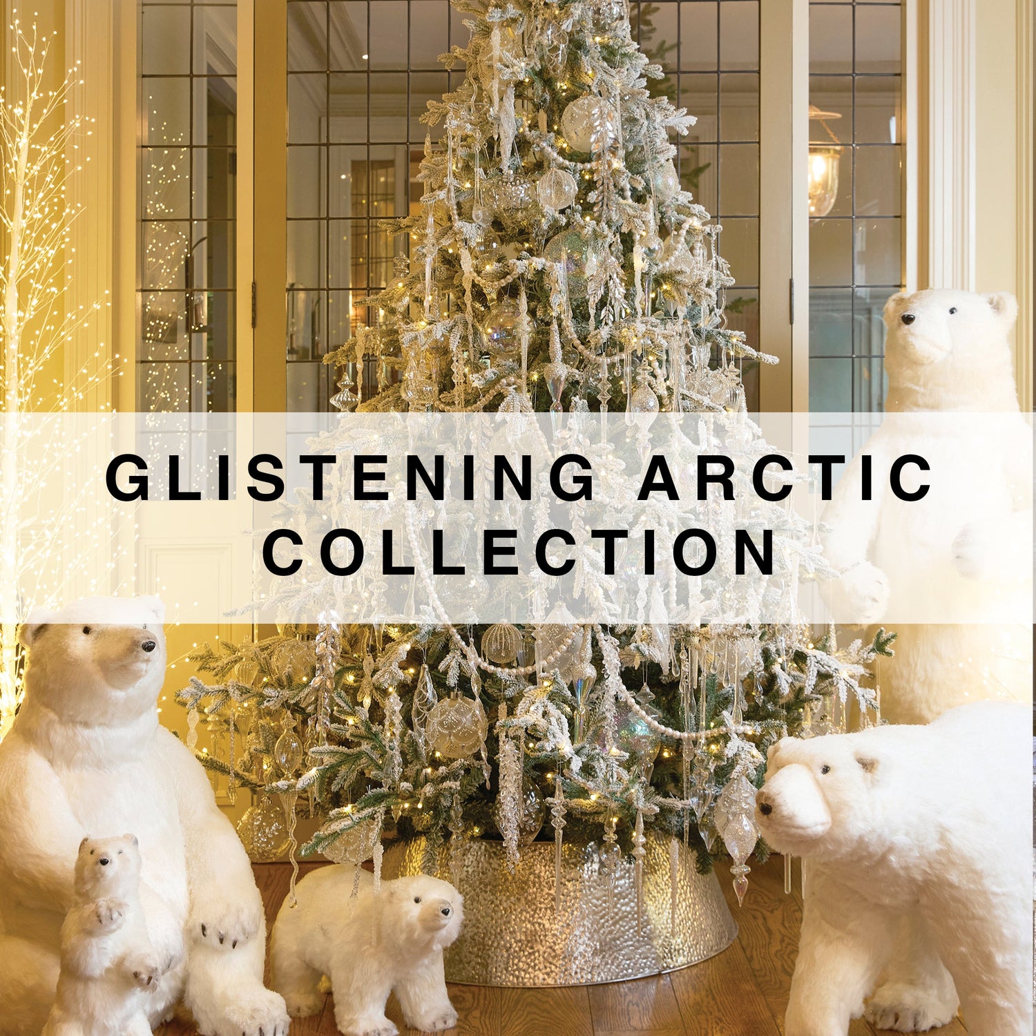 Glistening Arctic