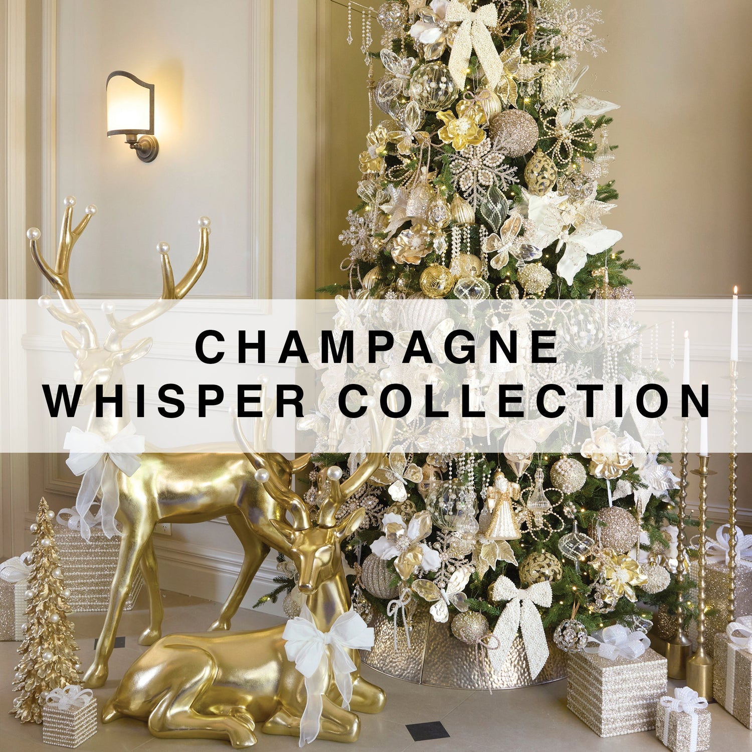 Champagne Whisper
