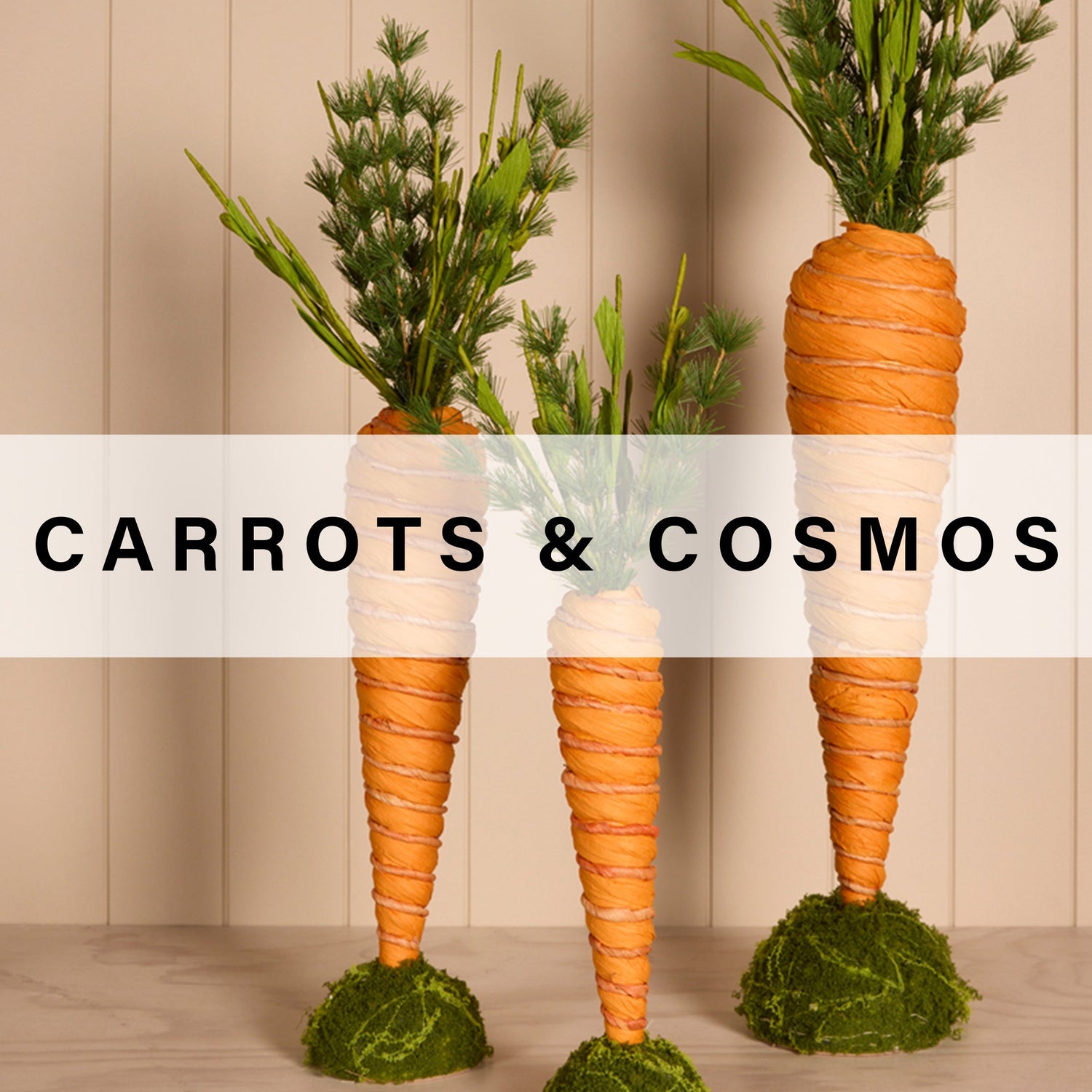 CARROTS AND COSMOS