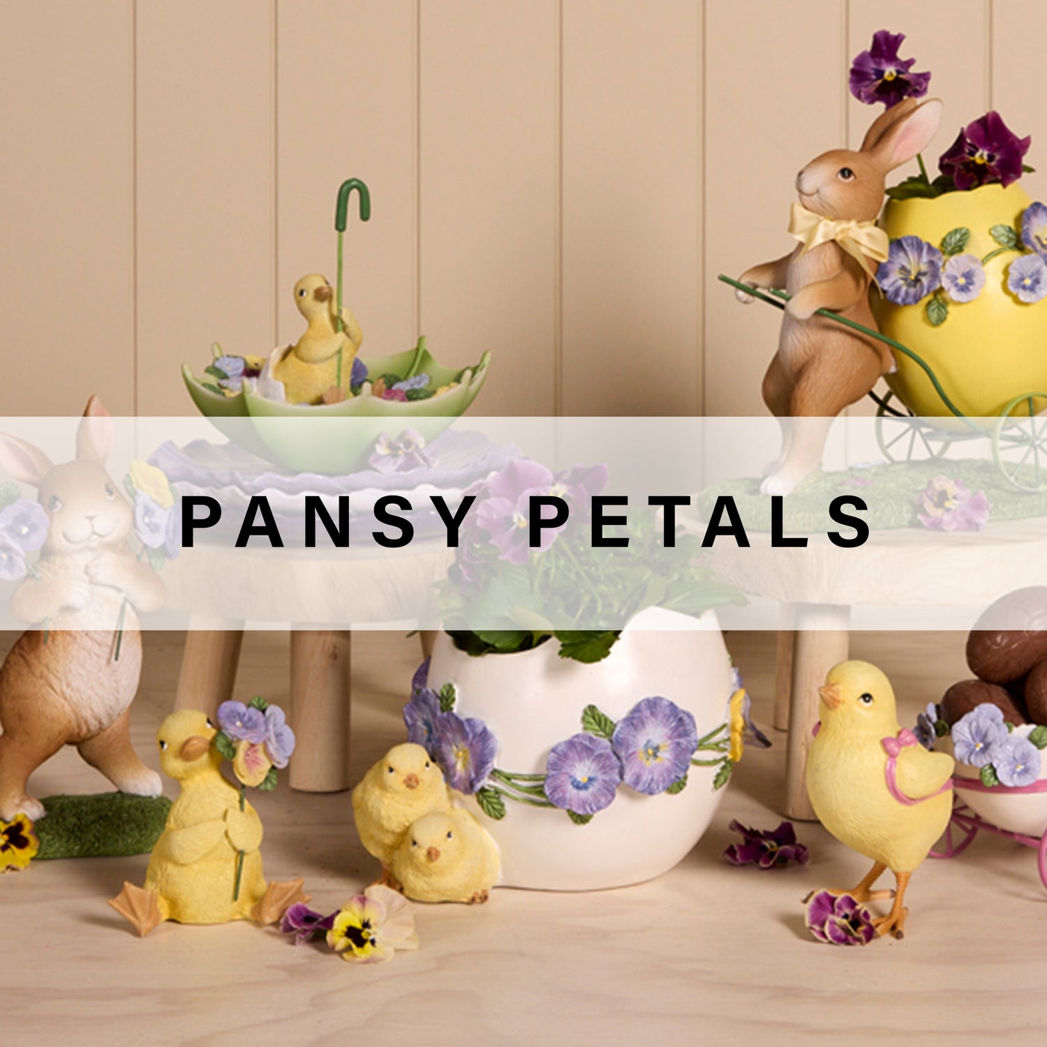 PANSY PETALS